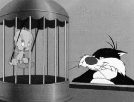 Gifs animés Titi et Gros Minet